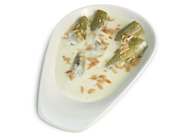 صورة كوسا باللبن ( الخميس )